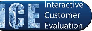 Image result for disa ice logo interactive customer evaluation