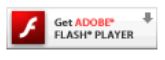 Flash_plugin.jpg