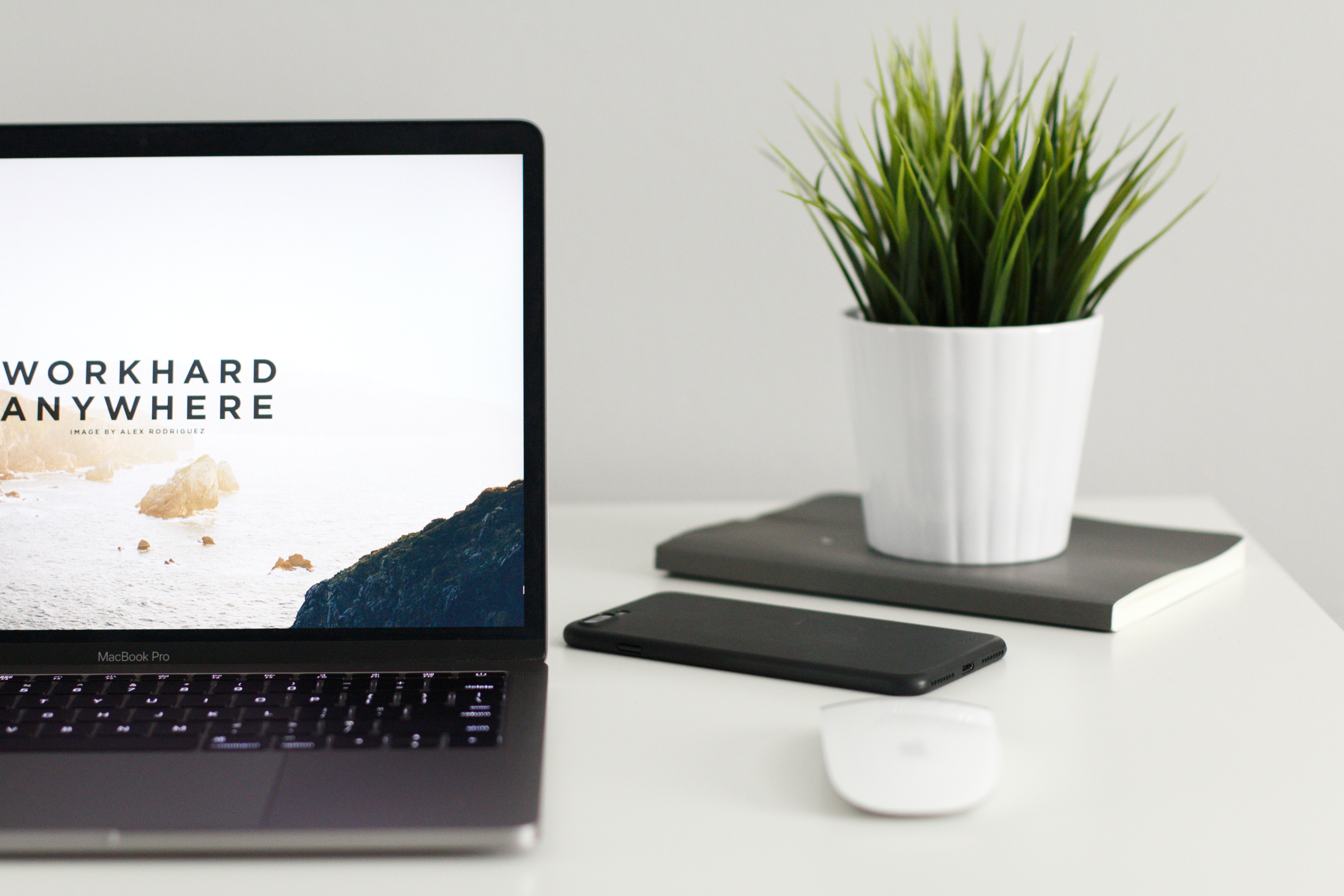 Laptop_and_Plant.jpg