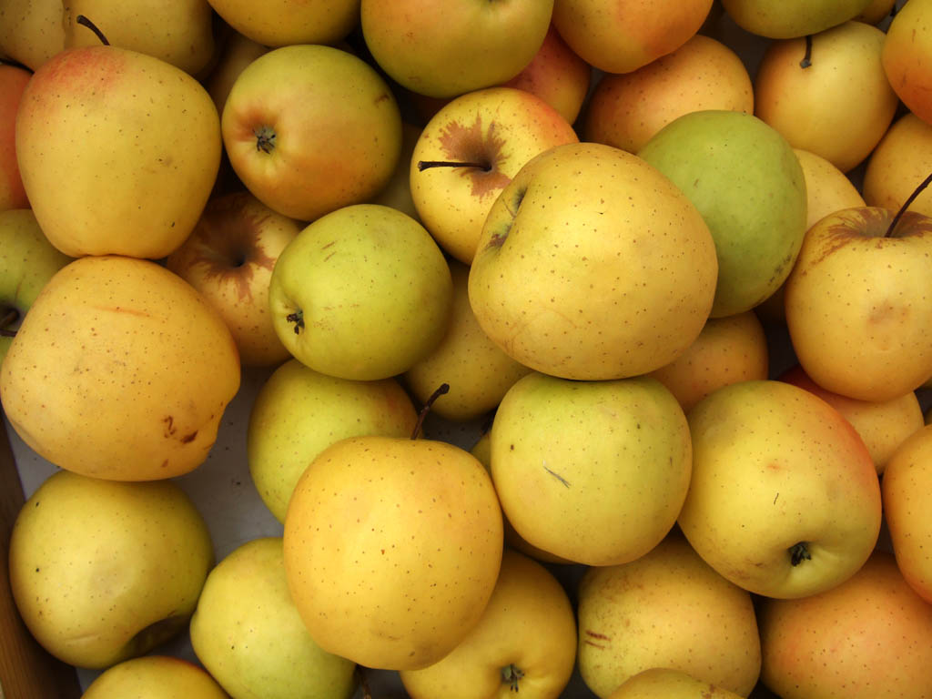 Apfel_goldendelicious.jpeg