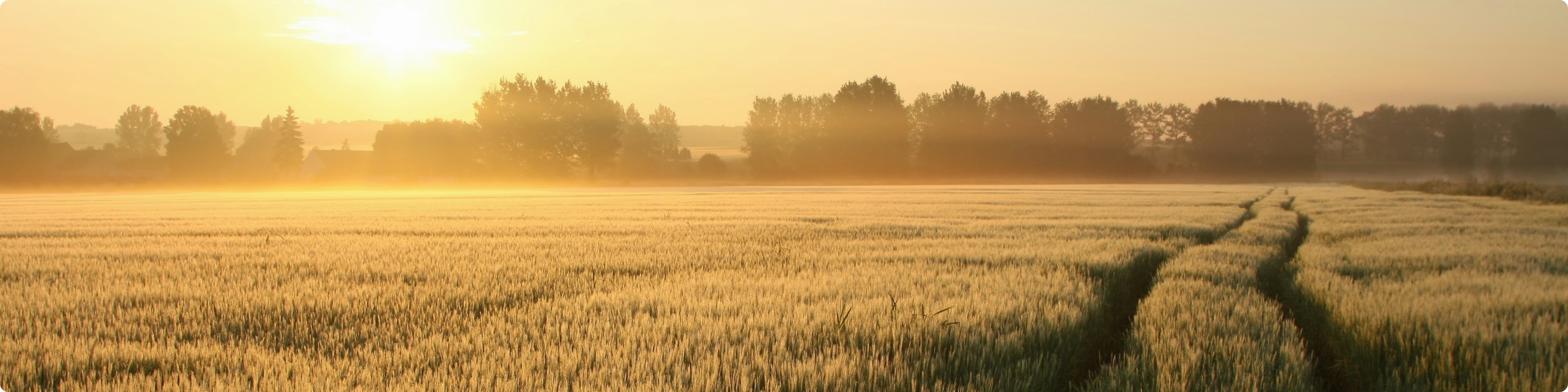 Realtor Safety in a Rural Environment