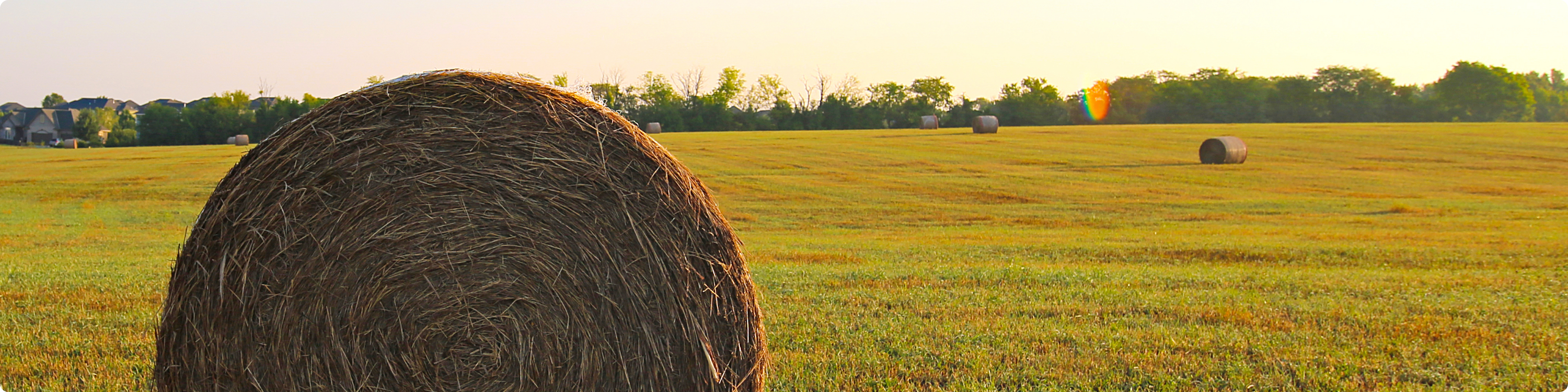 Farm & Land Transactions