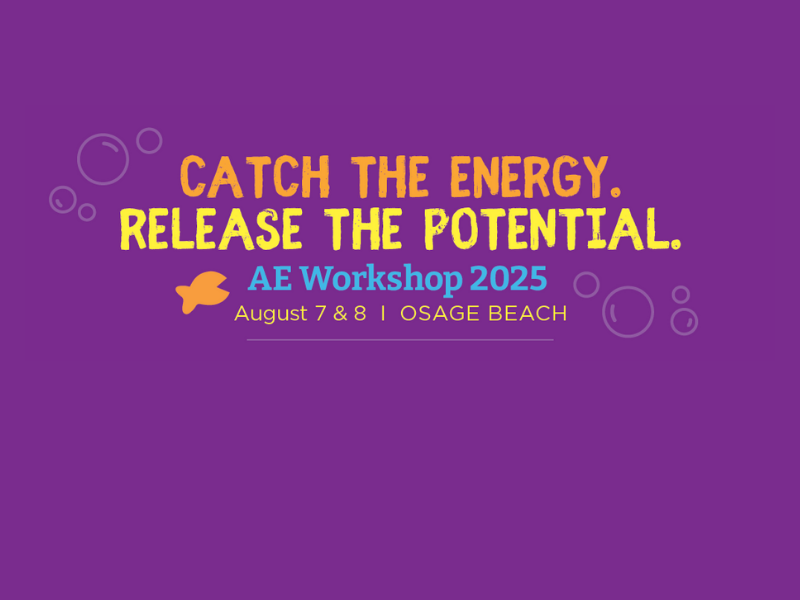 AE Workshop