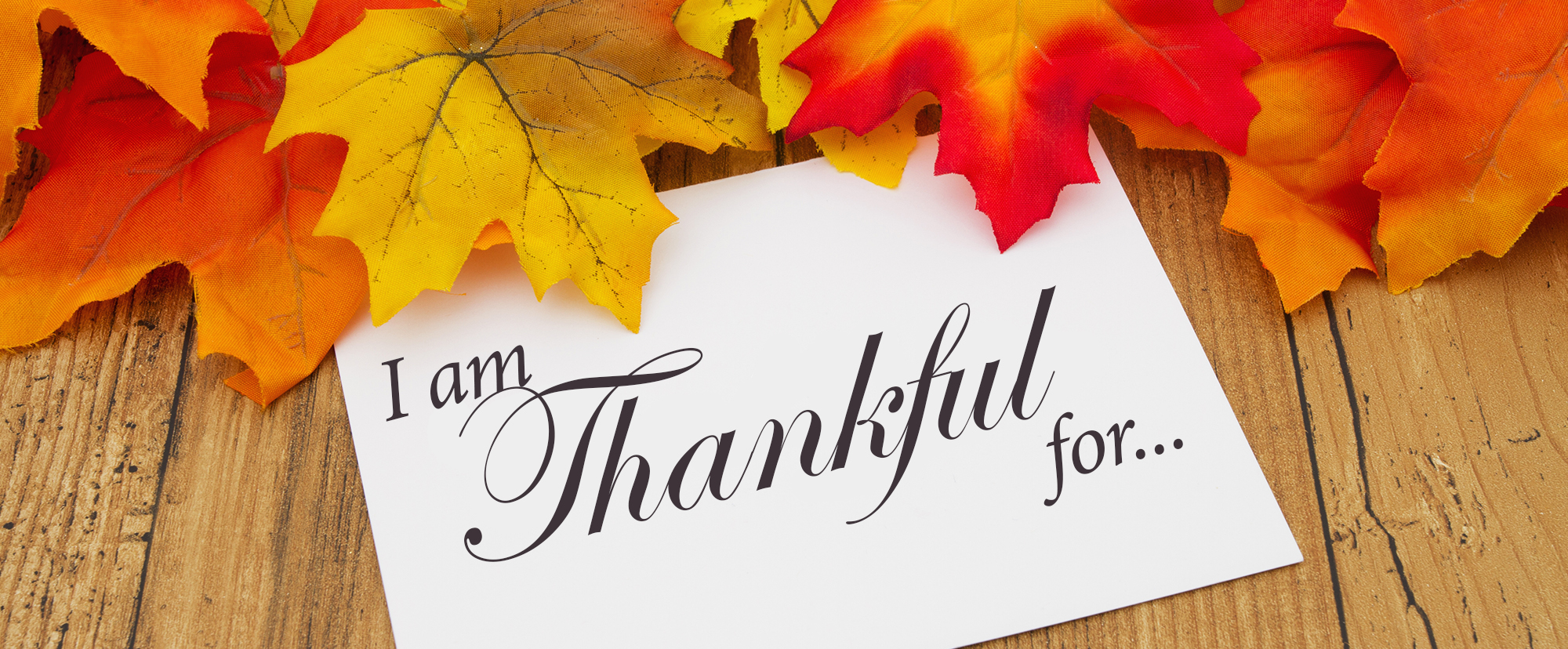 I am thankful for I am thankful for