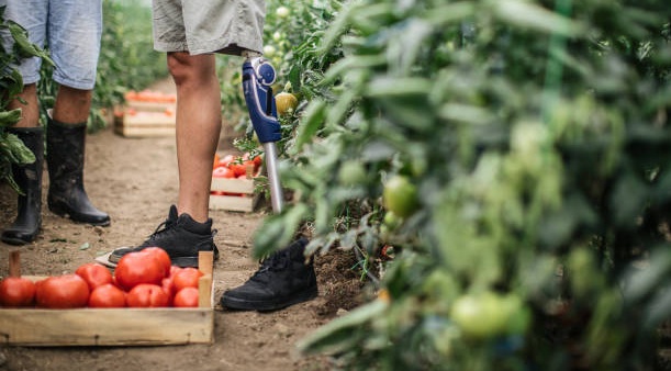 Seeds of Hope for Rural Amputees