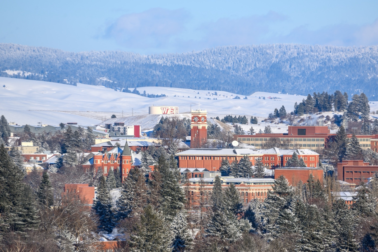 A group of buildings in a snowy landscape
AI-generated content may be incorrect.
