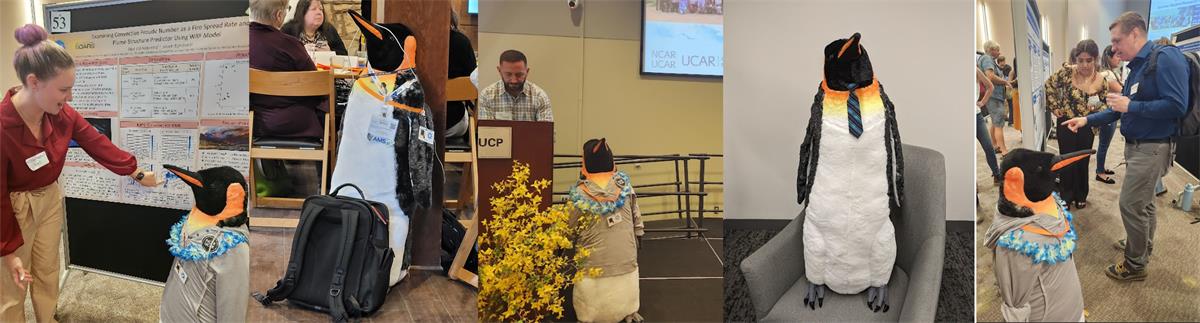 Pictures of Boreas the Penguin