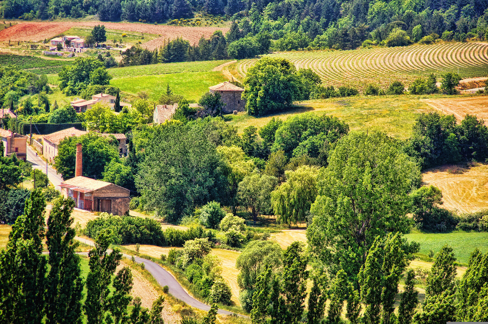 Provence countryside