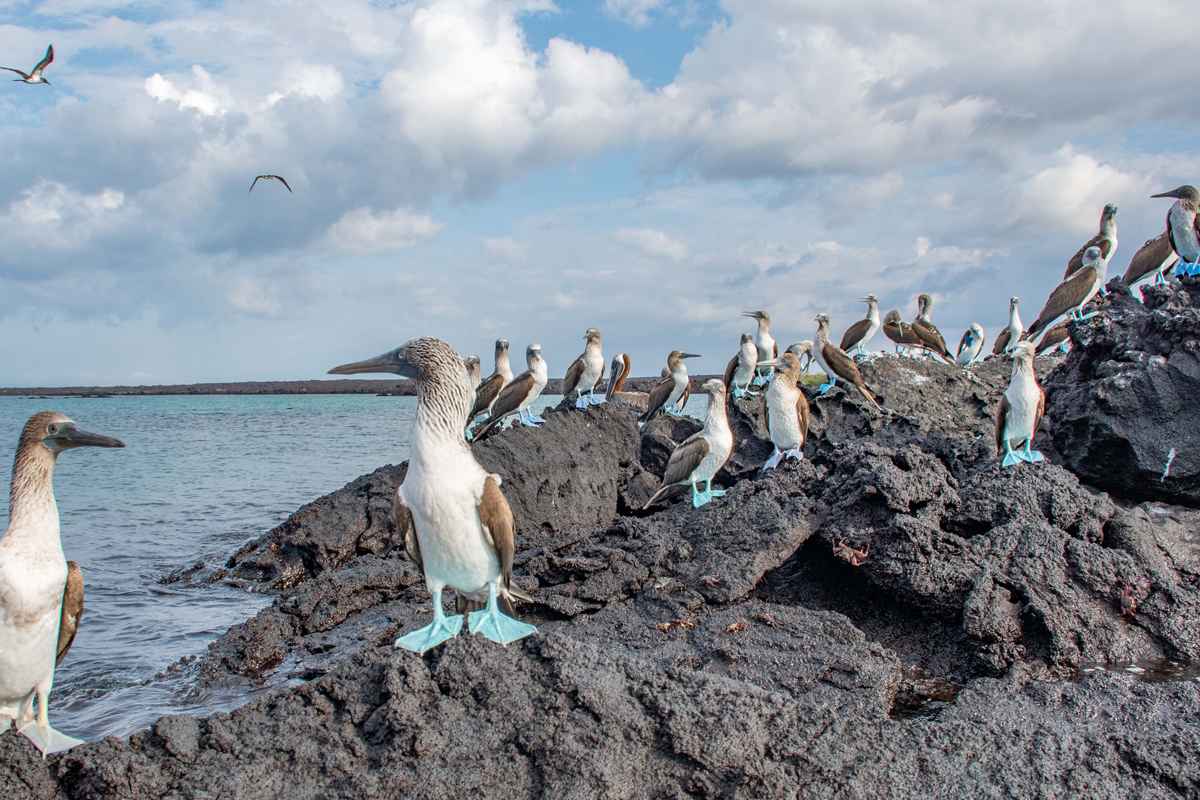 Galapagos Islands coastline
