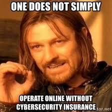 Meme stating one does not simply operate online without cybersecurity insurance