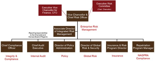 Executive Risk Committee We Can All Get Along: Integrating Audit, Risk, and Compliance