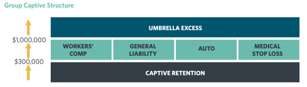 Chart: Captive Retention with Worker's Comp General Liability Auto Medical Stop Loss under Umbrella Excess