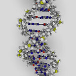 Wicked Problems in Genomics