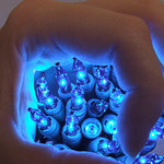 Copyright Kelly Cookson