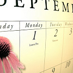 Copyright Andreanna Moya