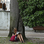 Copyright Pedro Ribeiro Simões