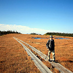 Copyright Reginald Pentinio