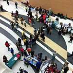 Copyright Kate Ter Haar