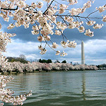 Washington, DC; Copyright Robert Pos