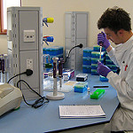 Young man using pipettes in research lab; Copyright Col Ford and Natasha de Vere