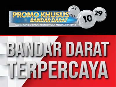 Bandar Darat Situs Togel Bandar Darat Online Terpercaya Profile Svsconnect