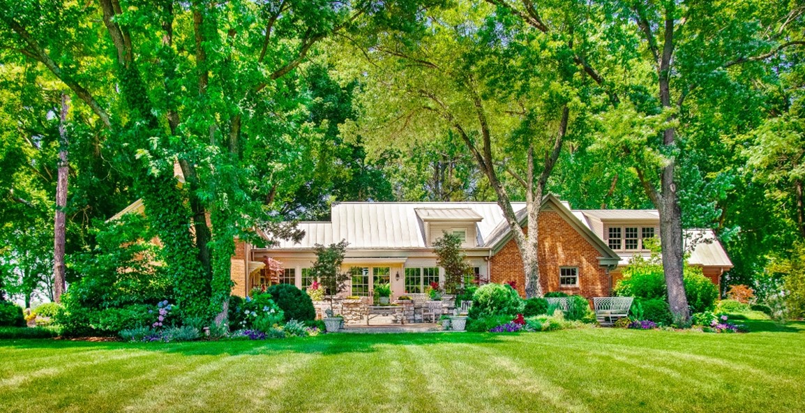 Animalia Health & Wellness