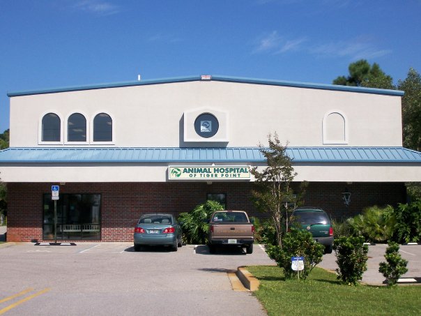 Animal Hospital of Tiger Point