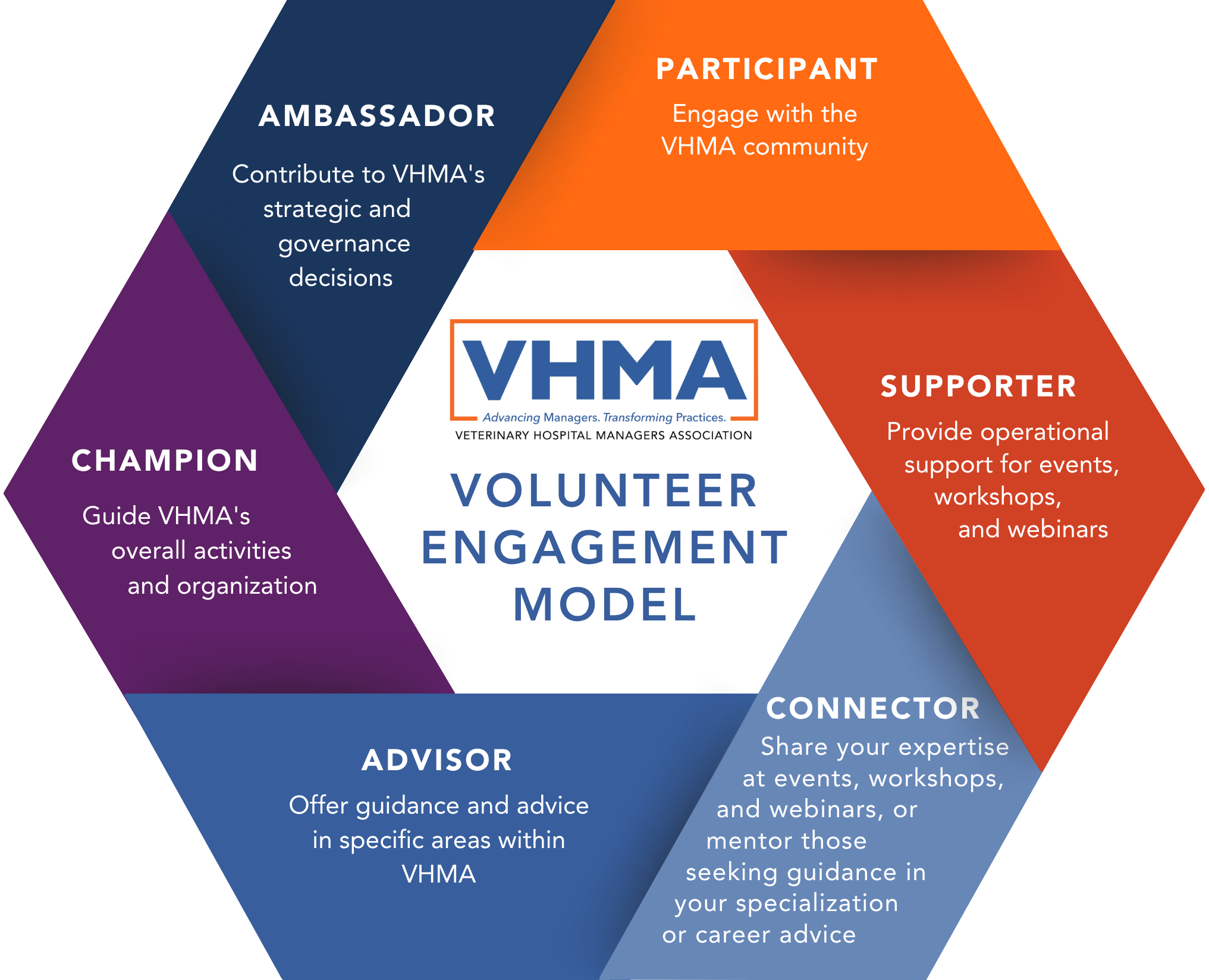 vhma volunteer
