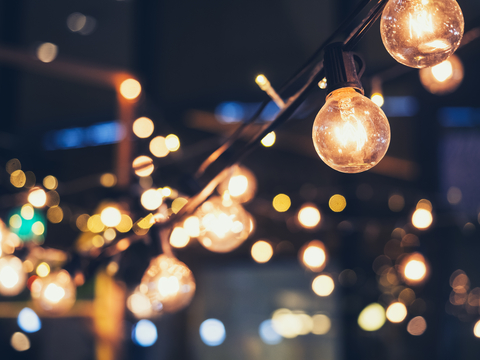 Holiday Party Lights