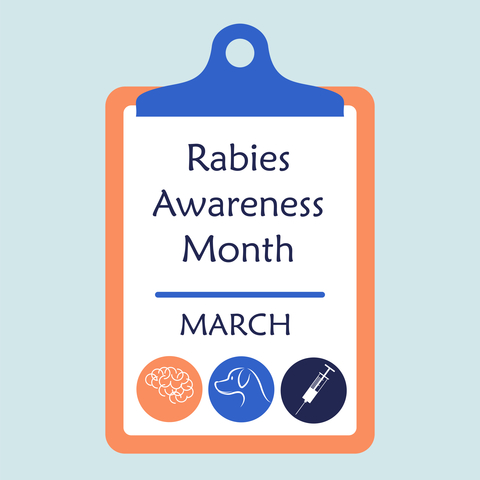 Rabies Awareness Month in March written on a paper attached to a clipboard