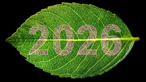 2026