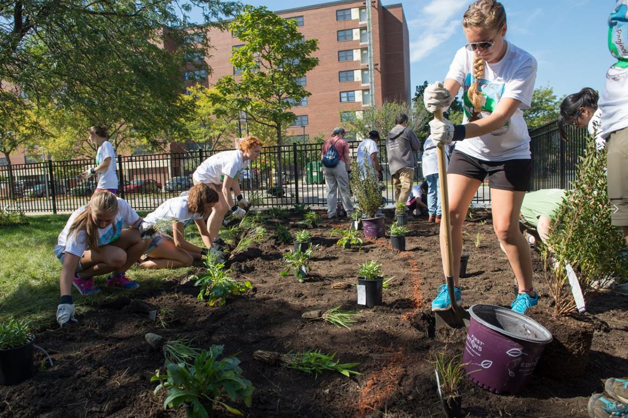 WEF Service Project