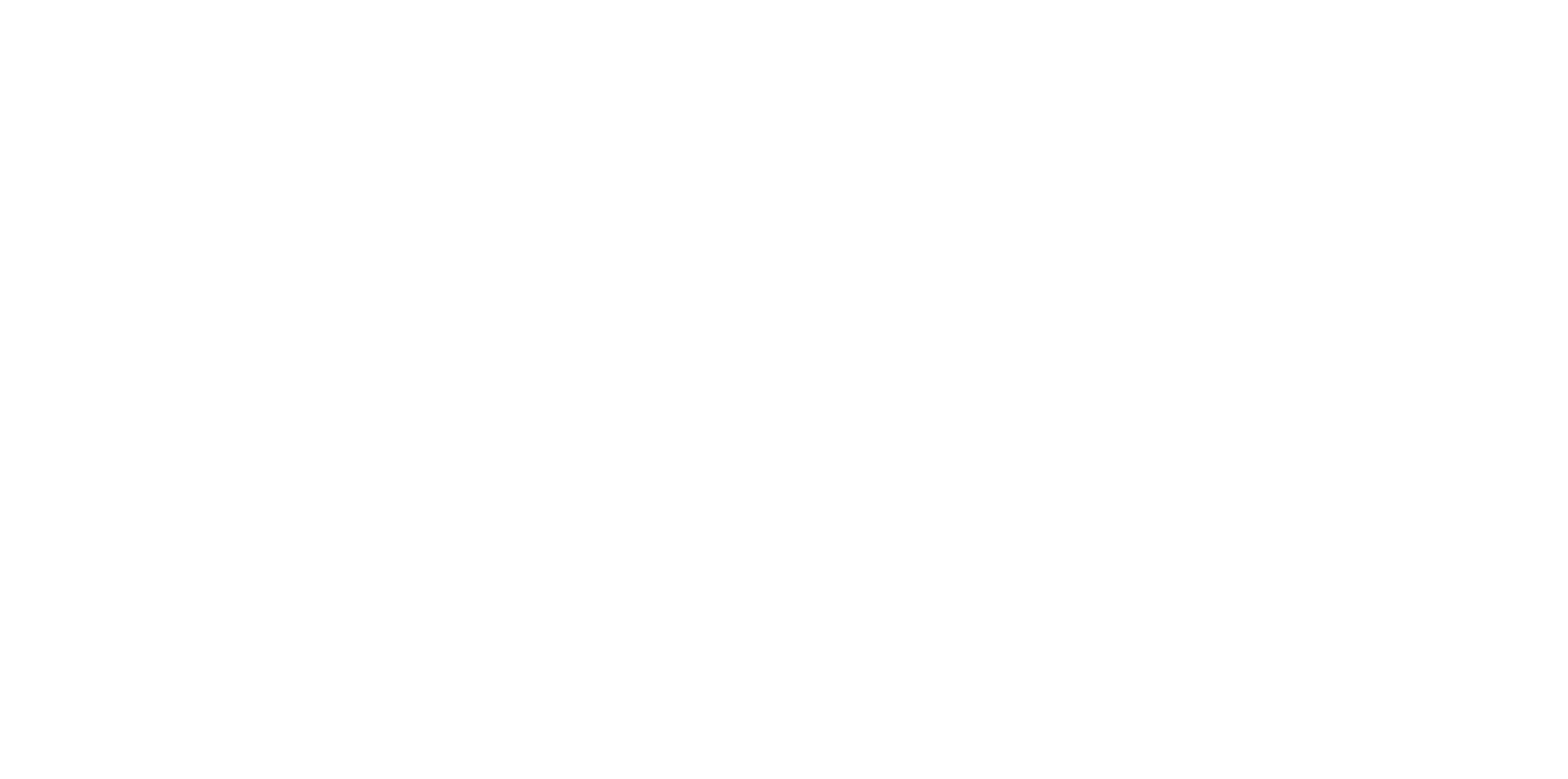 WISE_logo_2020_color_1wise-logo.png