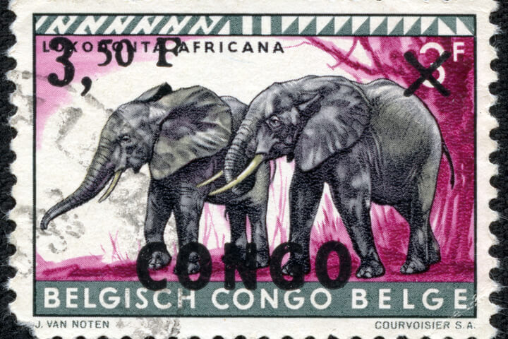 A stamp with 2 elephants on it
