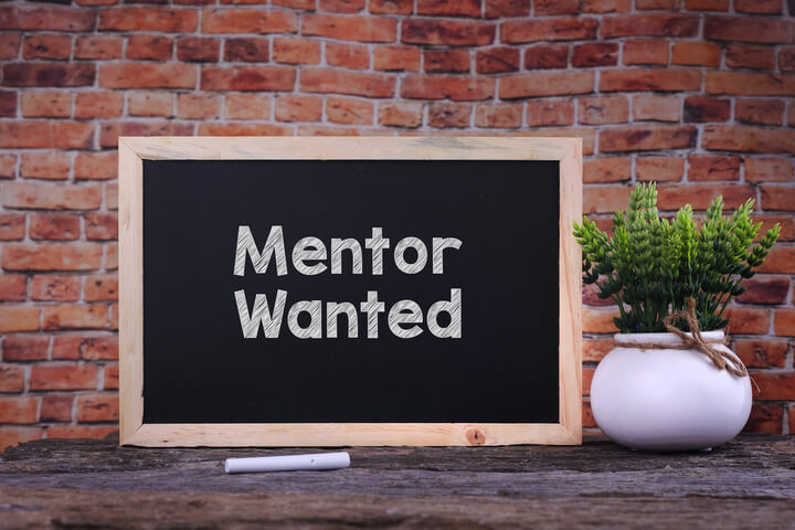 "Mentor Wanted" written in chalk on a chalkboard, next to a plant.