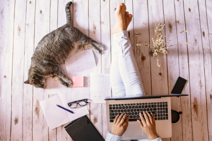 A person sitting on the floor on their laptop surrounded by their cat, papers, pens, and their phone