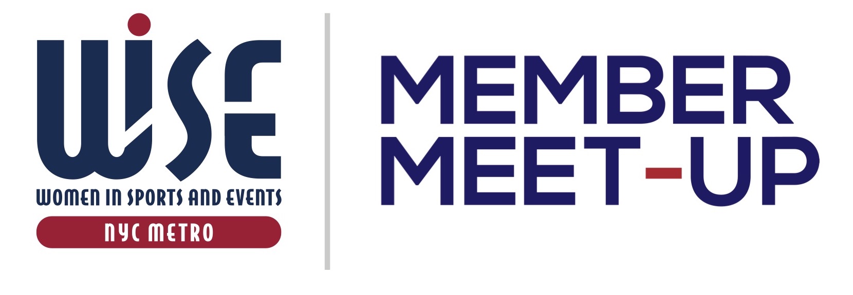WISE NYC Metro Member Meet Up