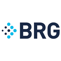 Berkeley Research Group, LLC